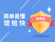 简易险